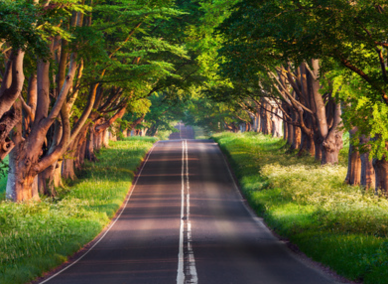 Plan Your Own Route