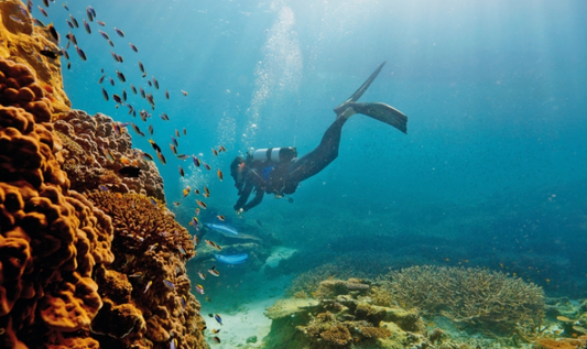 Queensland Reef and Wellness Retreat