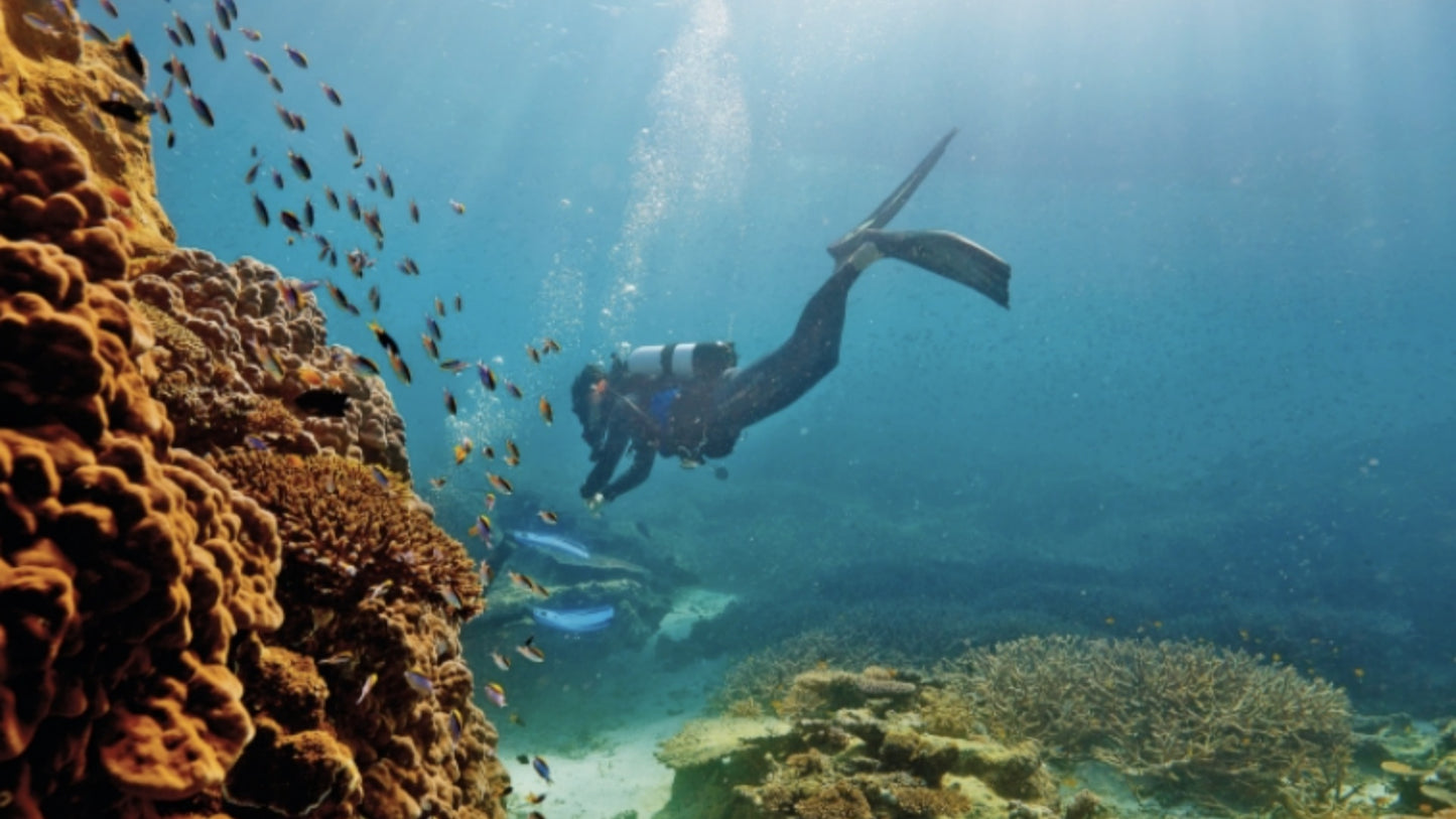 Queensland Reef and Wellness Retreat