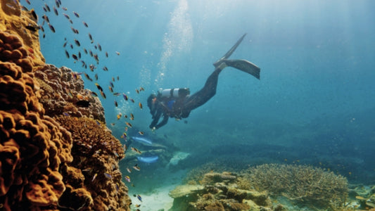 Queensland Reef and Wellness Retreat